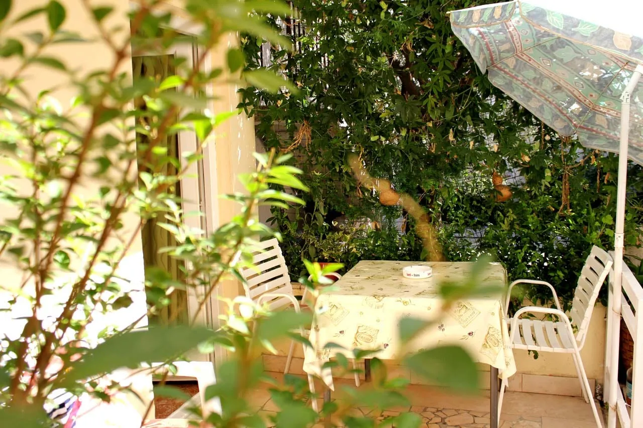 Garden table and chairs under a parasol, shaded by a tree beside the door