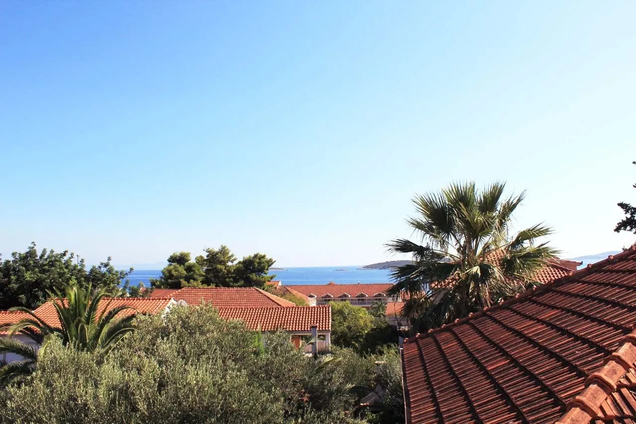 Rooftops, pines and a palm below, with the sea beyond