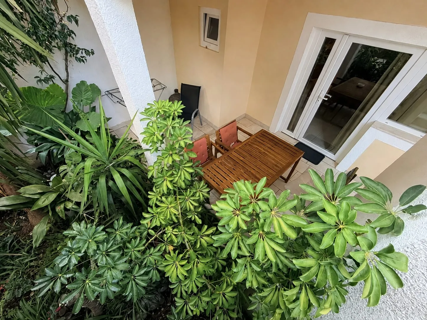 The terrace seen from the garden, with leafy planting in front of the table and chairs